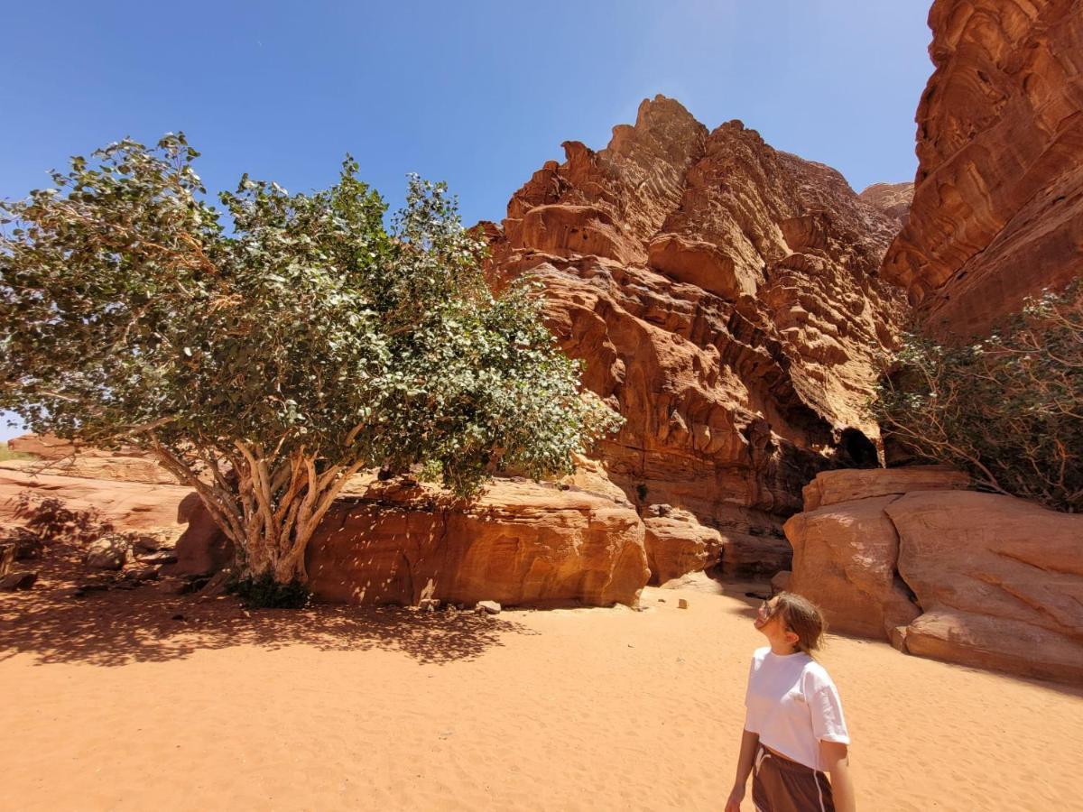 Moon City Camp Wadi Rum Exterior foto